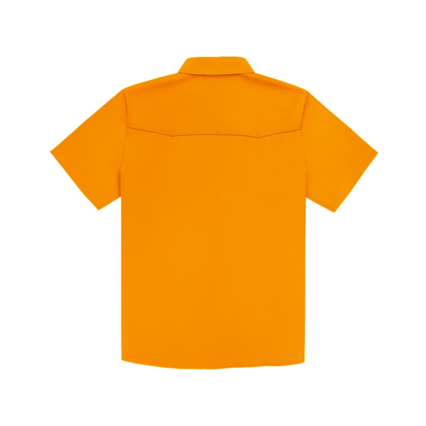 The Volunteer